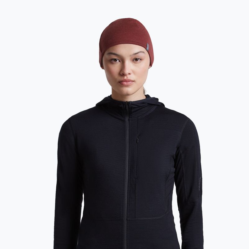 Hat icebreaker Merino 200 Oasis Reversible Beanie agate/port 9