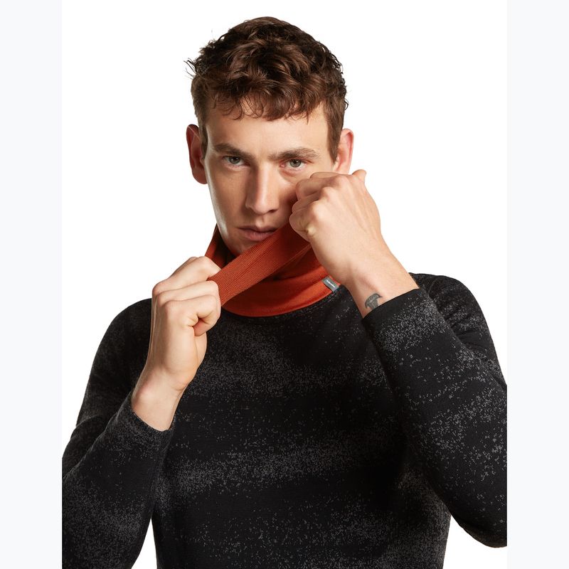 Multifunctional neck gaiter icebreaker Apex Chute agate 4