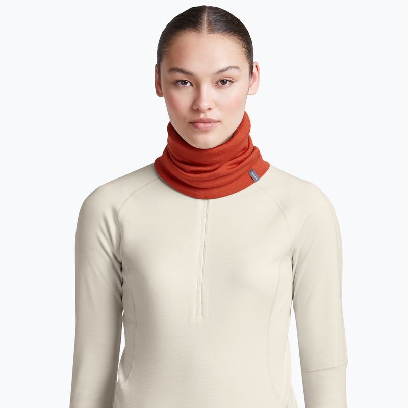 Multifunctional neck gaiter icebreaker Apex Chute agate 6