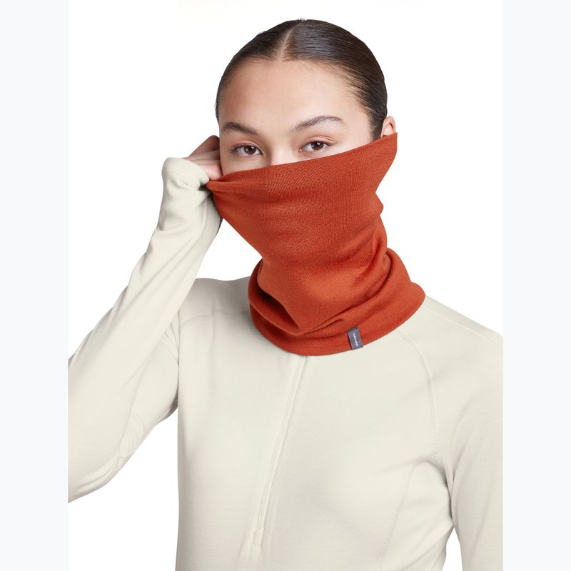 Multifunctional neck gaiter icebreaker Apex Chute agate 7
