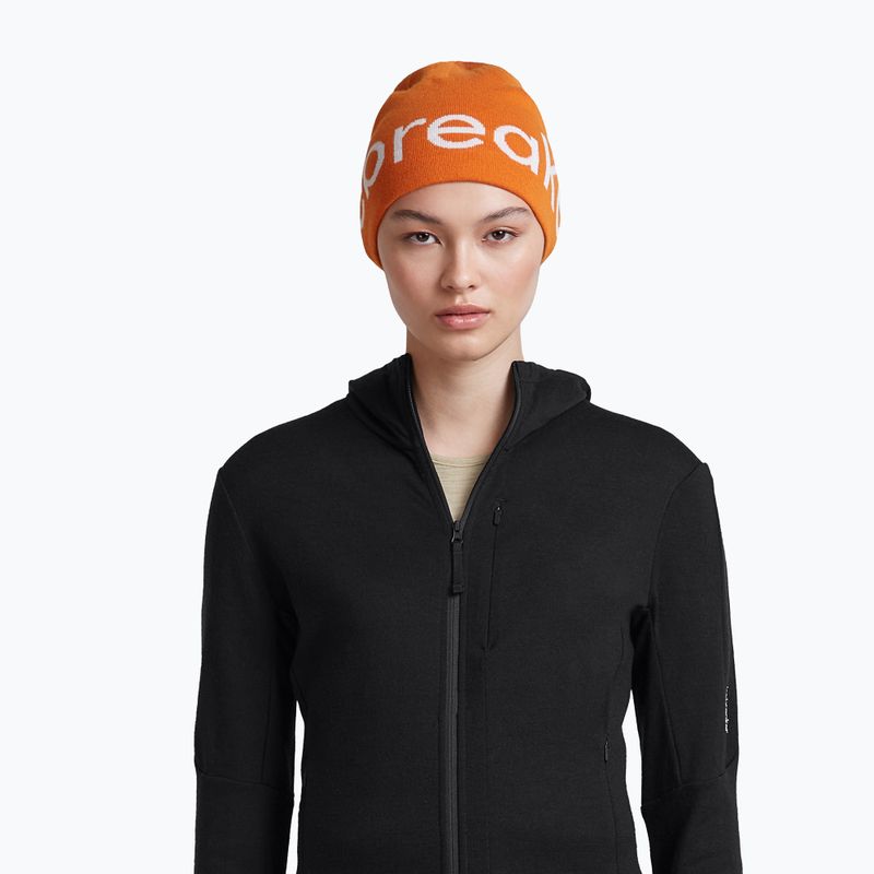 Winter hat icebreaker Merino Icebreaker Beanie spice/ecru heather 6