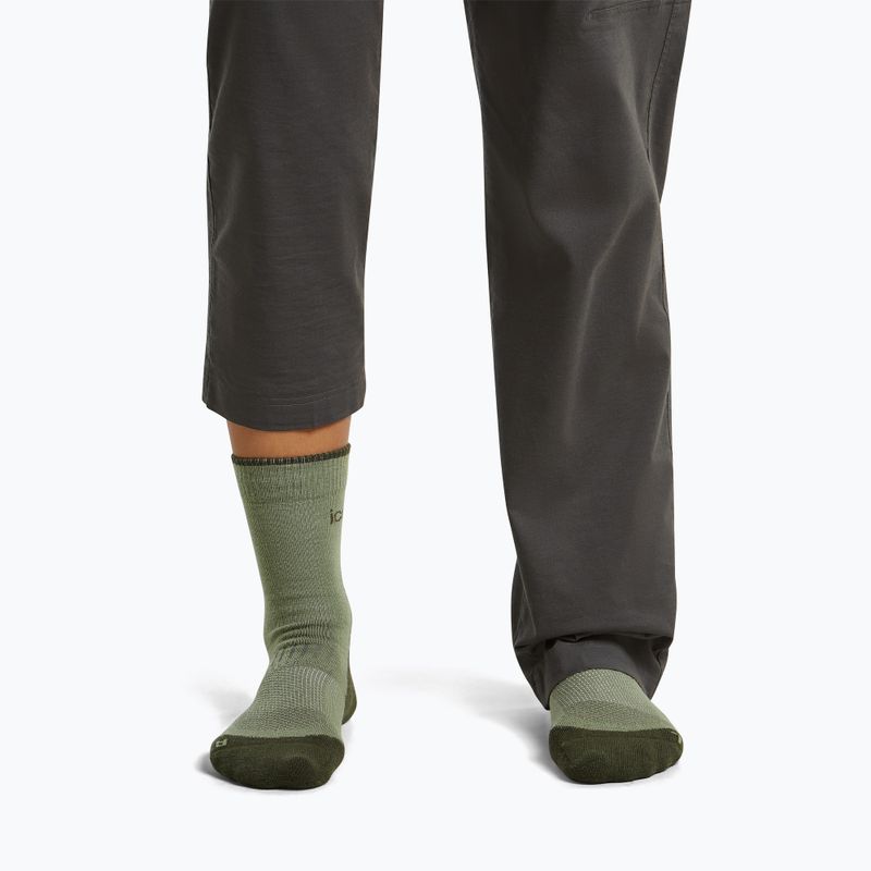 Women's socks Icebreaker Merino Hike+ Light Crew lichen/dark loden 3