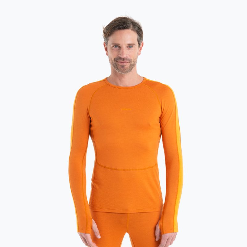 Men's thermal top icebreaker ZoneKnit 260 Crewe