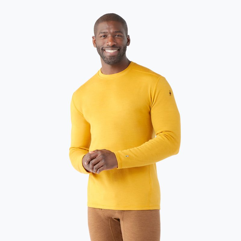 Men's Smartwool Merino 250 Baselayer Crew Boxed honey gold thermal T-shirt