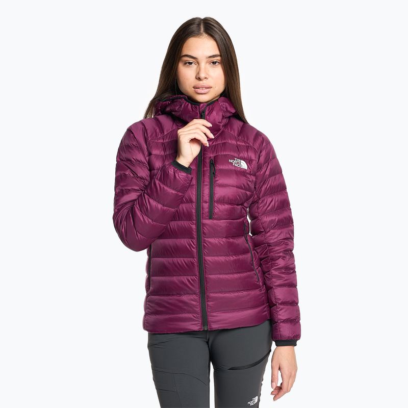 Women's winter jacket The North Face Summit Breithorn Hoodie boysenberry