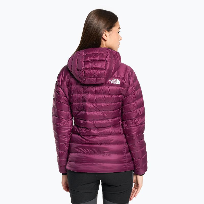 Women's winter jacket The North Face Summit Breithorn Hoodie boysenberry 2