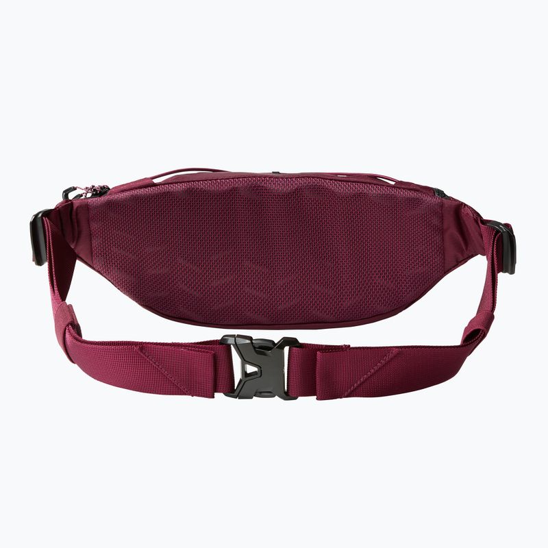 The North Face Lumbnical 4 l boysenberry kidney sachet 2