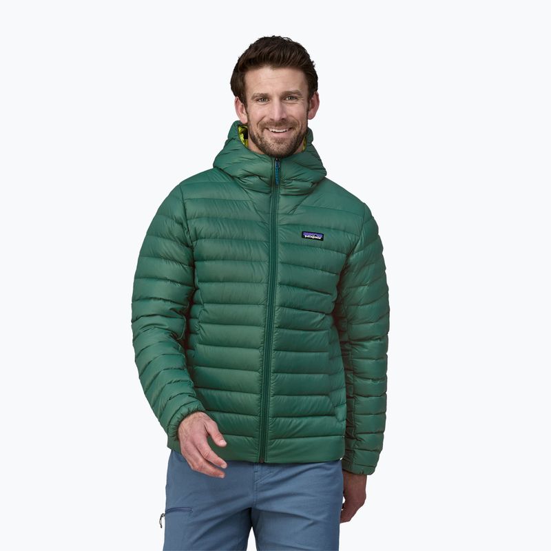 Men's Patagonia Down Sweater Hoody conifer green