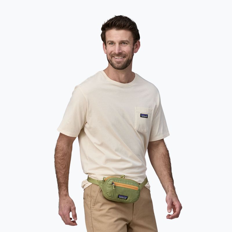 Patagonia Ultralight Black Hole Mini Hip Pack 1 l buckhorn green waistbag 3