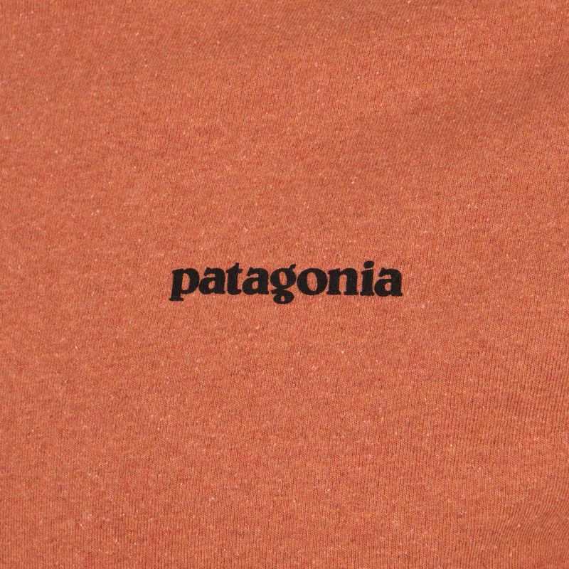 Men's Patagonia P-6 Logo Responsibili-Tee trekking shirt redtall rust 3