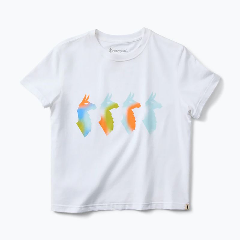 Women's T-shirt Cotopaxi Cuatro Bitmap white 5