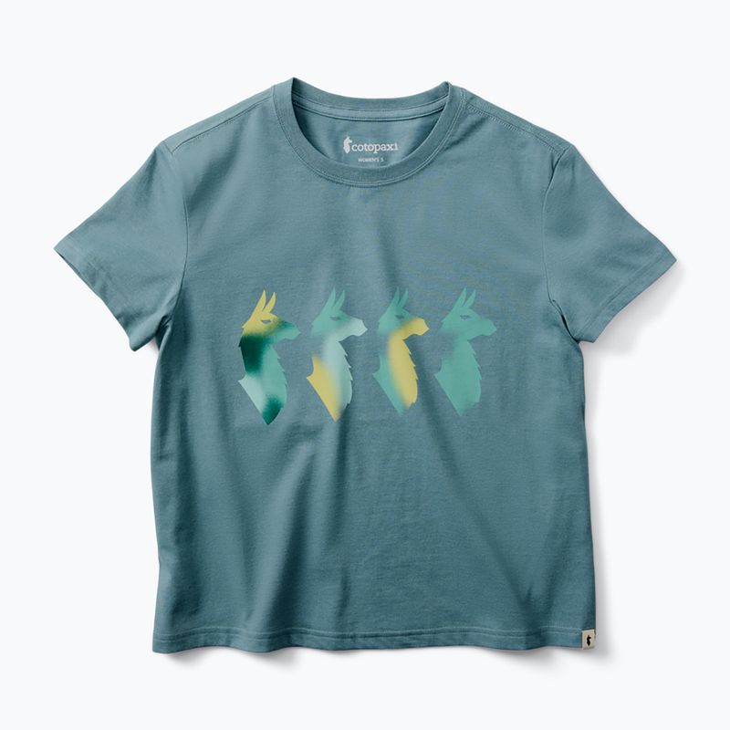 Women's T-shirt Cotopaxi Cuatro Bitmap everglade 5