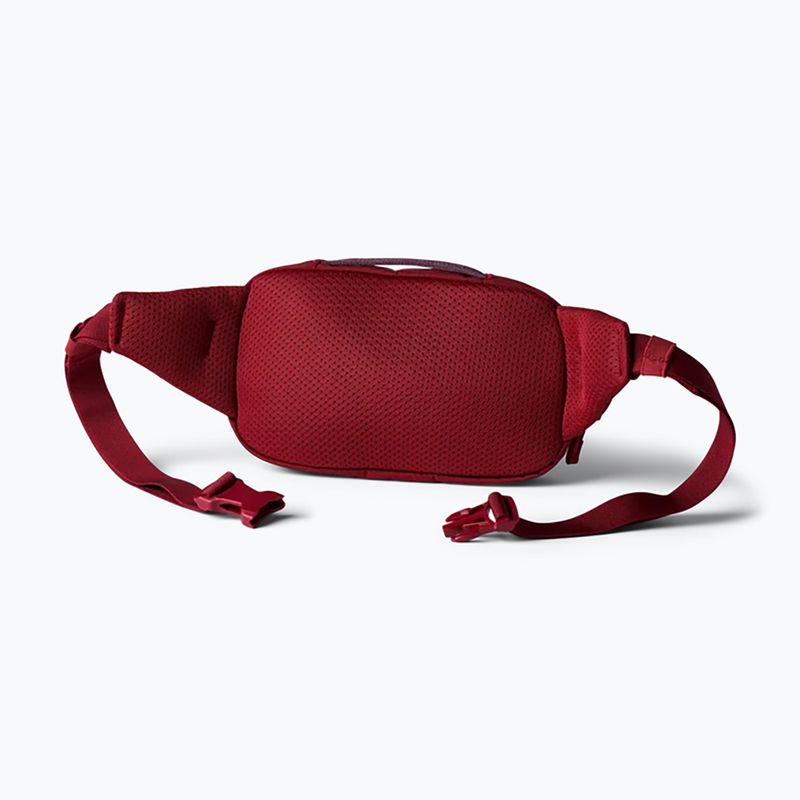 Waist bag Cotopaxi Allpa X Hip Pack 1,5 l crimson 3