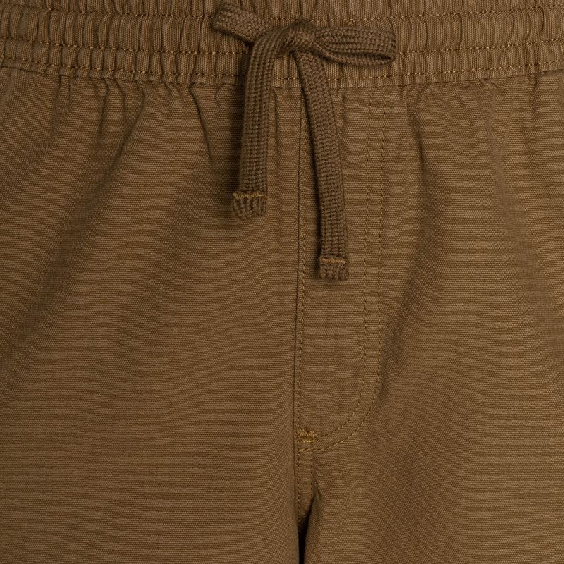 Men's Vans Range Cargo Loose Shorts 3