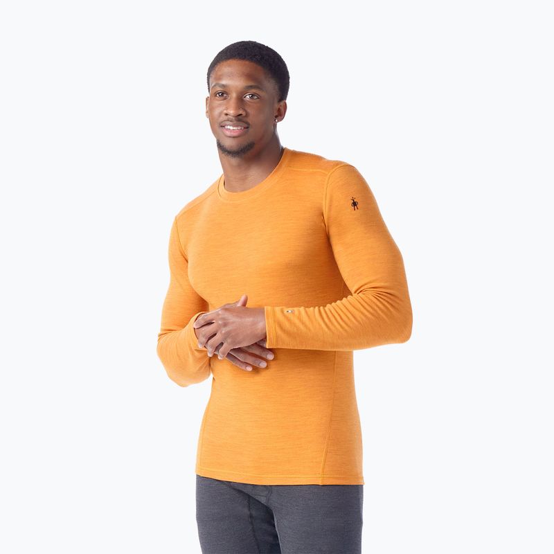 Men's Smartwool Merino 250 Baselayer Crew Boxed thermal longsleeve marmalade heather