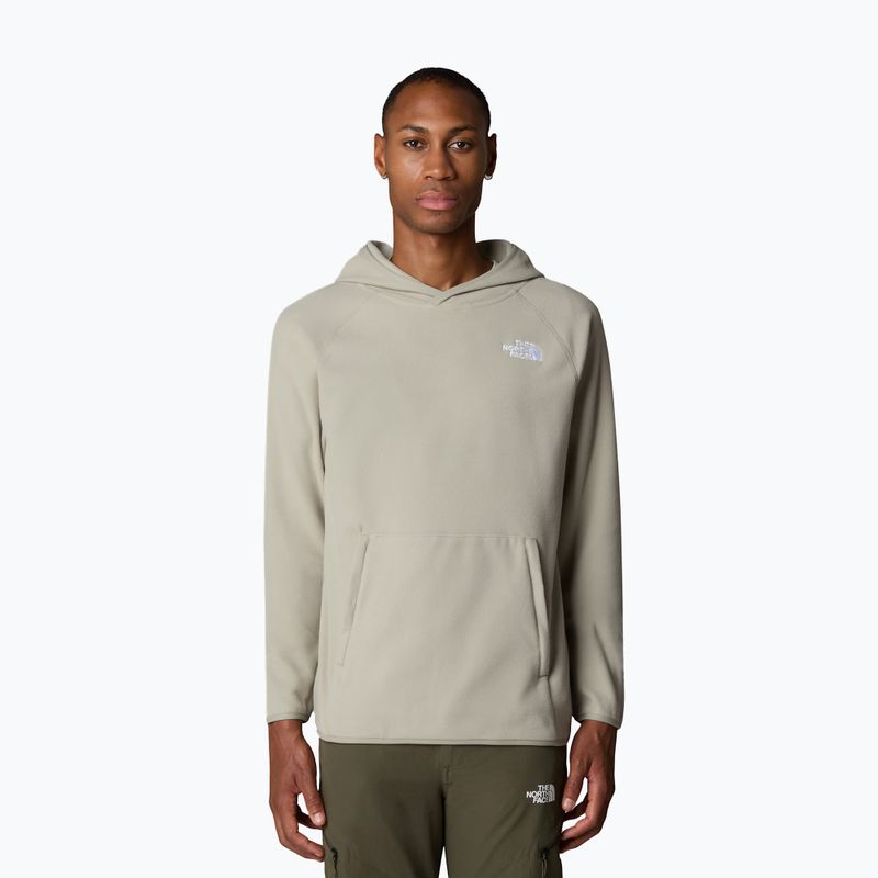 Men's sweatshirt The North Face 100 Glacier Hoodie clay grey