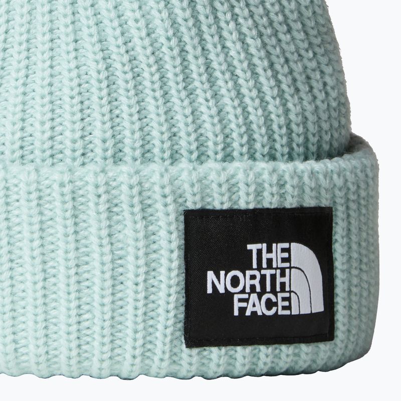 The North Face Salty muted pine children's winter beanie 2