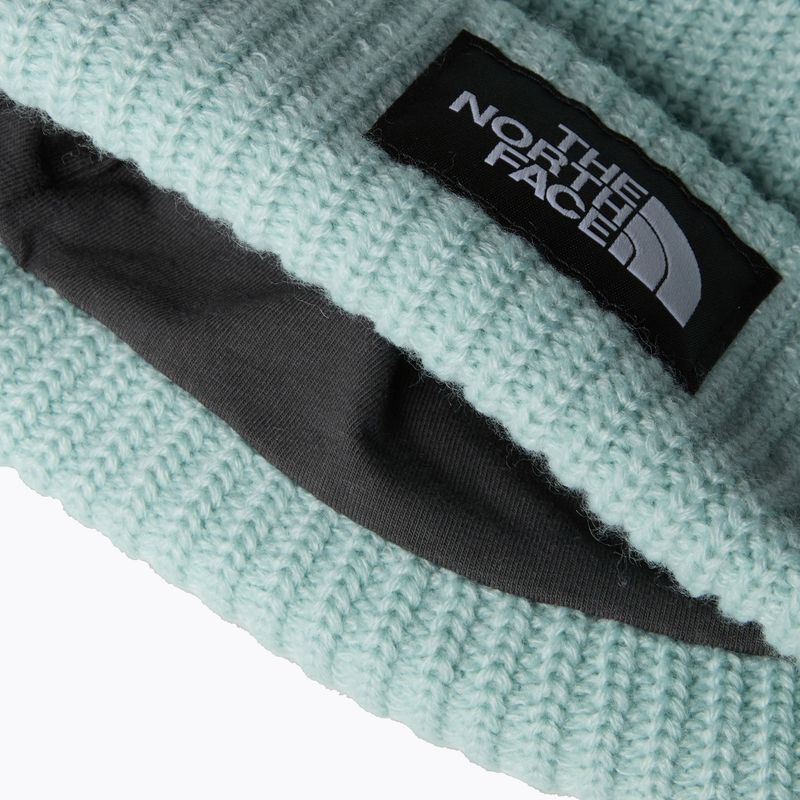 The North Face Salty muted pine children's winter beanie 3