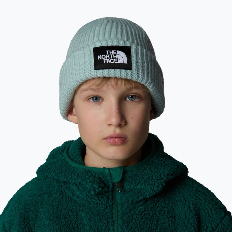 The North Face Salty muted pine children's winter beanie 4