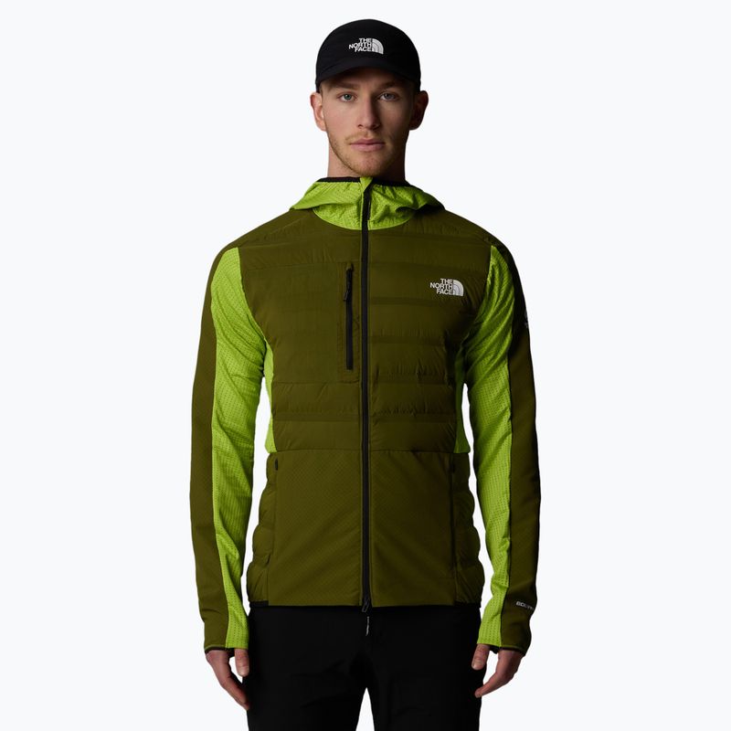 Men's jacket The North Face Summit Garnet Canyon forest olive/ meadow grass