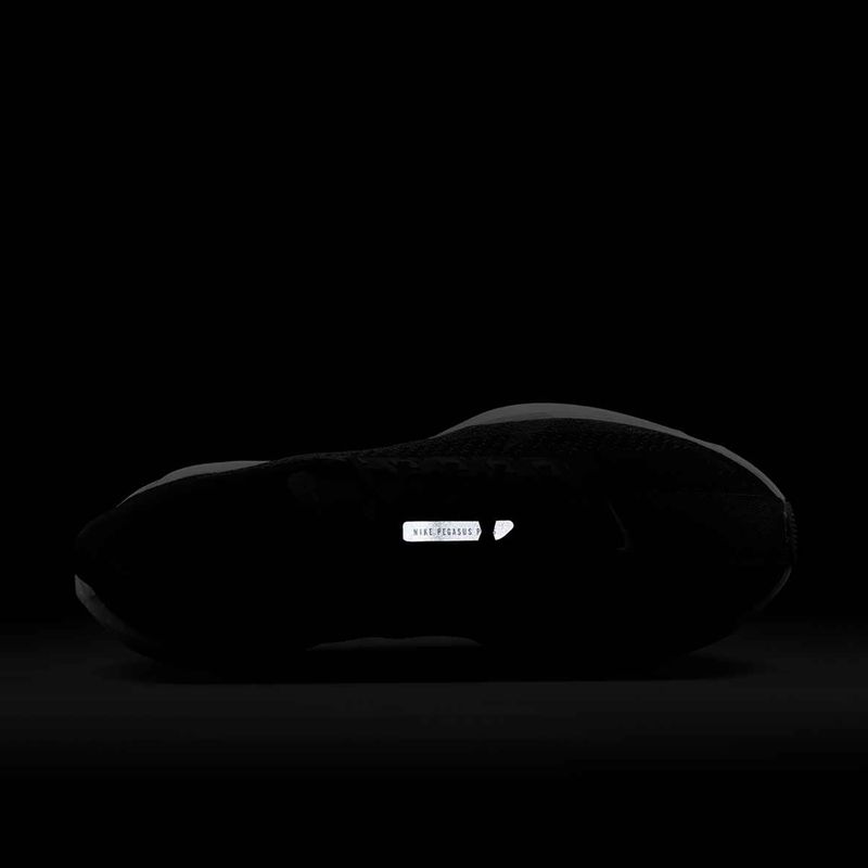 Men's running shoes Nike Pegasus Plus black/anthracite/white/pure platinum 8