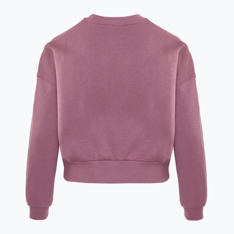 Children's Nike Sportswear Club Fleece plum dust/light wild mango sweatshirt 2