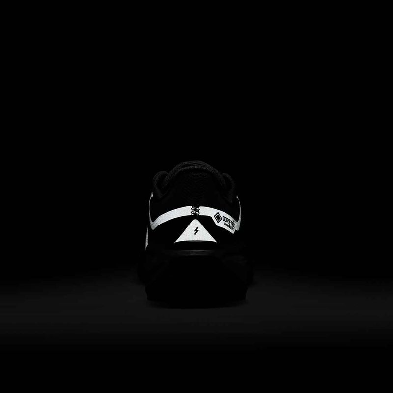 Women's running shoes Nike Pegasus 41 GORE-TEX black/anthracite/black 10