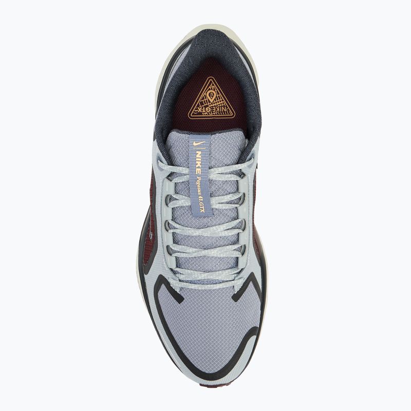 Nike Pegasus 41 GTX men's running shoes light pumice/ burgundy crush/ dark smoke grey/ ashen slate 5