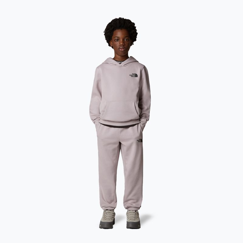 Children's sweatshirt The North Face Teen Simple Dome Hoodie moonstone grey 2