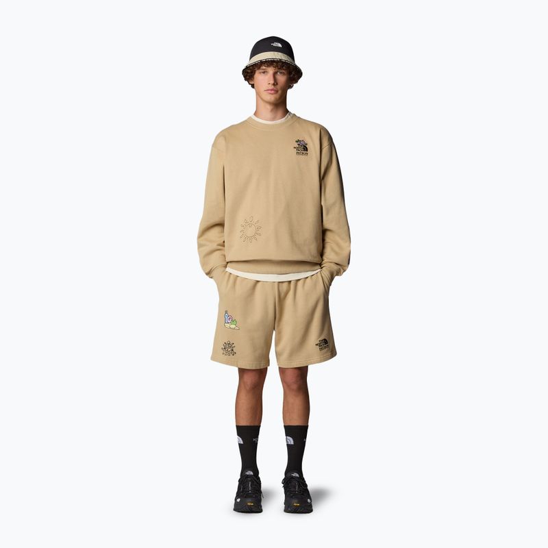 The North Face Mountain Cleanup Over khaki stone sweatshirt 2