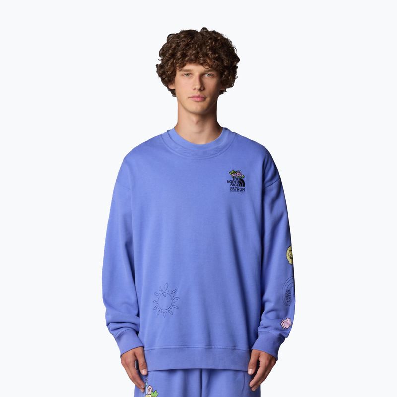The North Face Mountain Cleanup sweatshirt over virtual blue