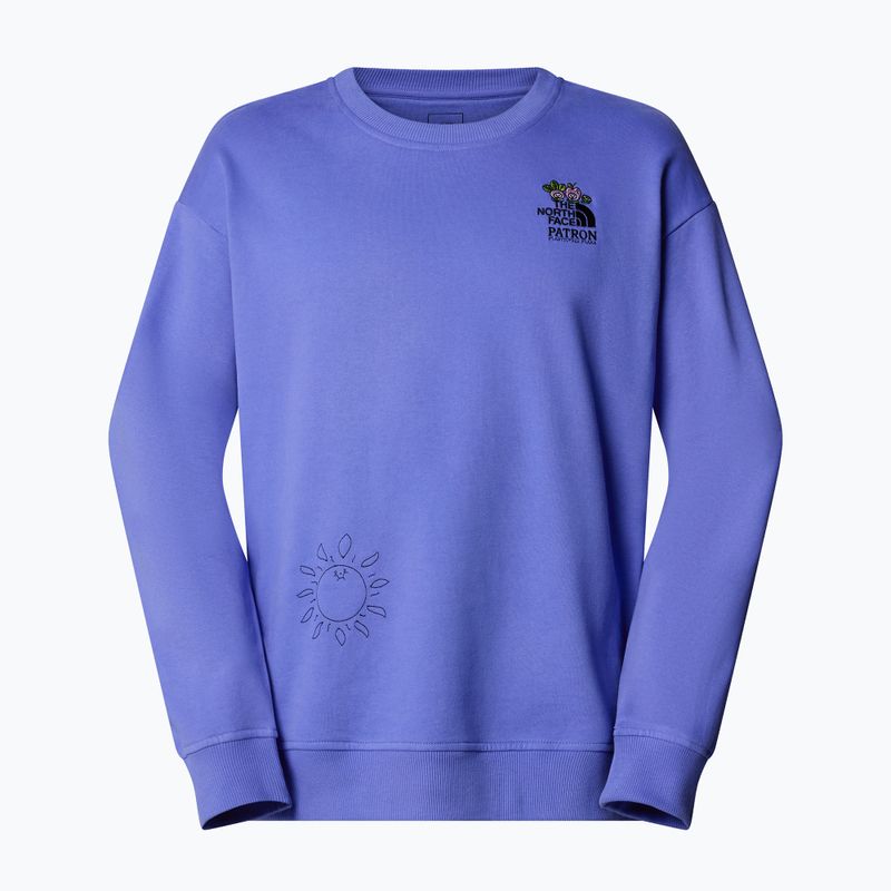 The North Face Mountain Cleanup sweatshirt over virtual blue 4