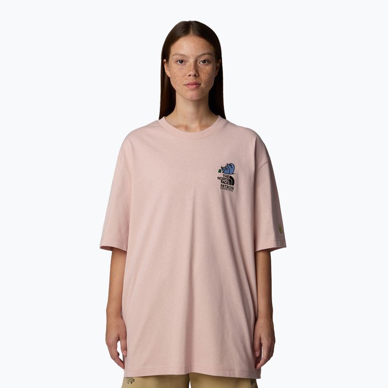 Men's The North Face Reflective Box Nse Tee pink moss shirt