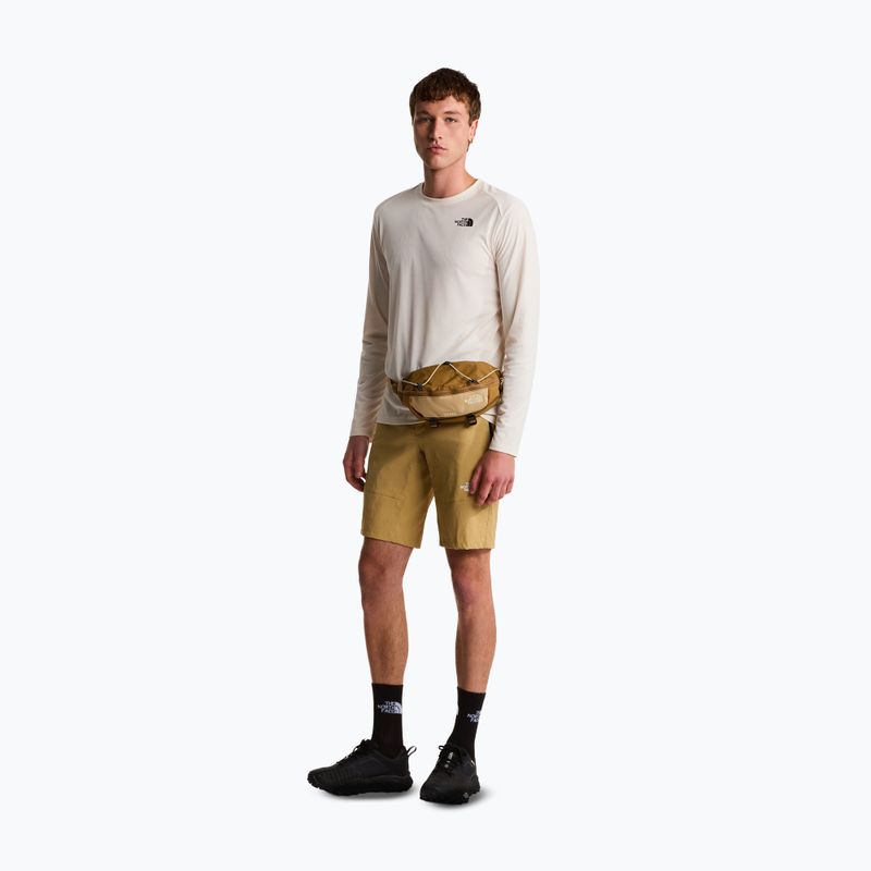 Men's trekking shorts The North Face Lightning SHT khaki stone/npf 2
