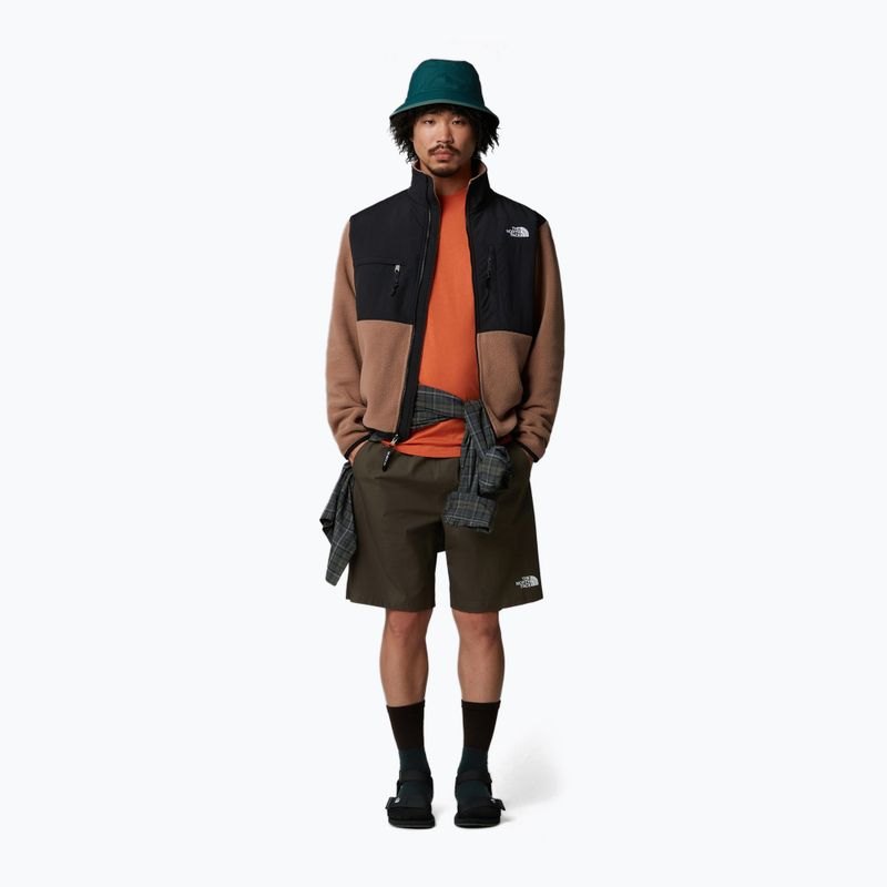 Men's shorts The North Face Limestone new taupe green 2