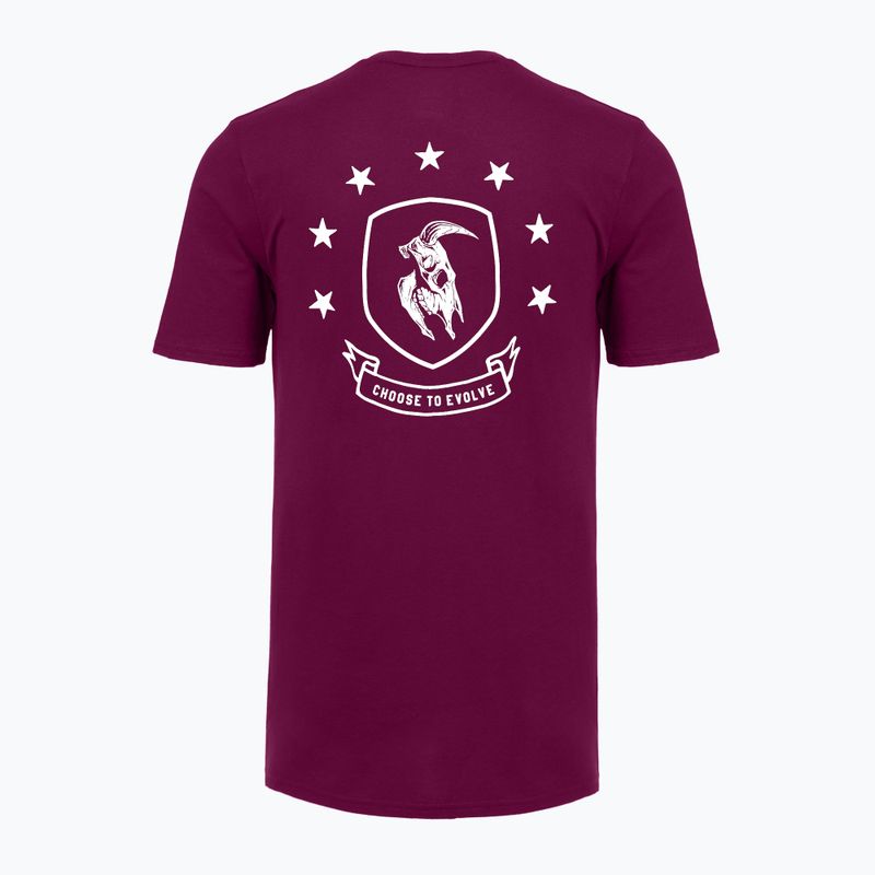 Men's training shirt Under Armour Project Rock Badge Of Honor purple 4
