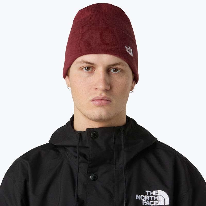 Winter hat The North Face Norm Beanie sumac 3