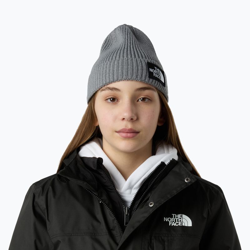 Children's winter hat The North Face Logo Box Cuffed 3
