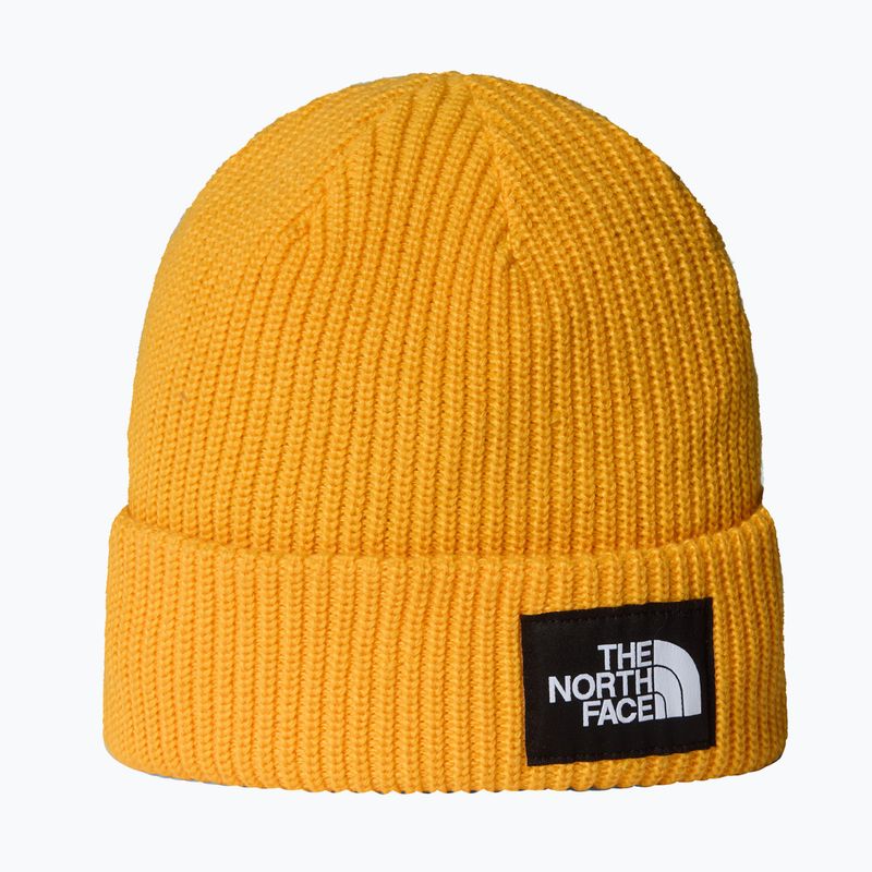 The North Face Salty Lined winter beanie