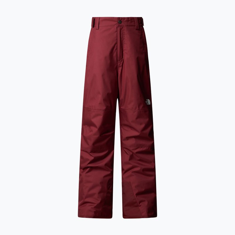 Children's ski trousers The North Face Freedom Insulated sumac 4