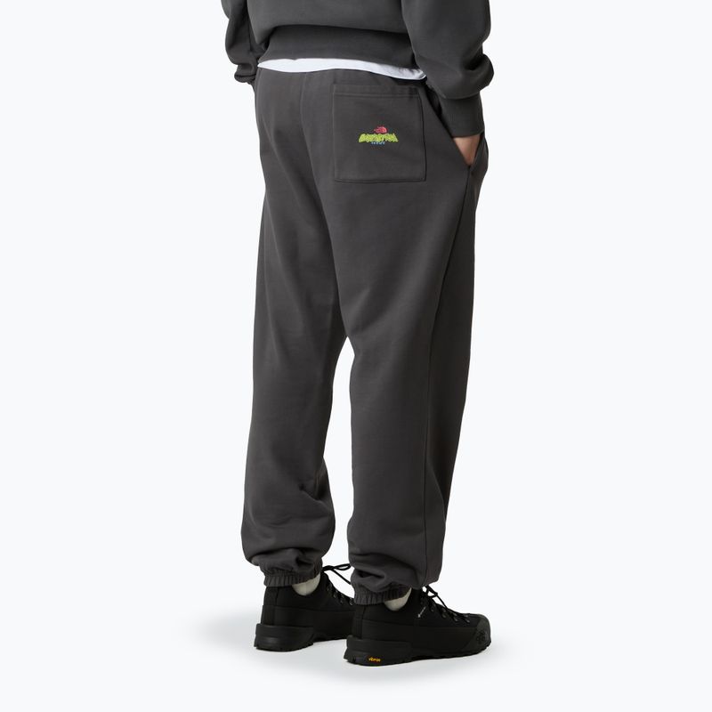 Men's trousers The North Face Expedition Celebration Relaxed Jogger Reg anthracite grey 3
