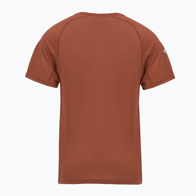 Men's thermal active T-shirt Smartwool Merino Sport 120 burnt sienna 2