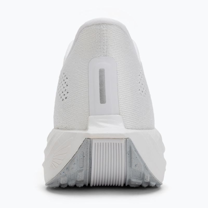 Men's running shoes Nike Pegasus Plus white / pure platinum / wolf grey 6