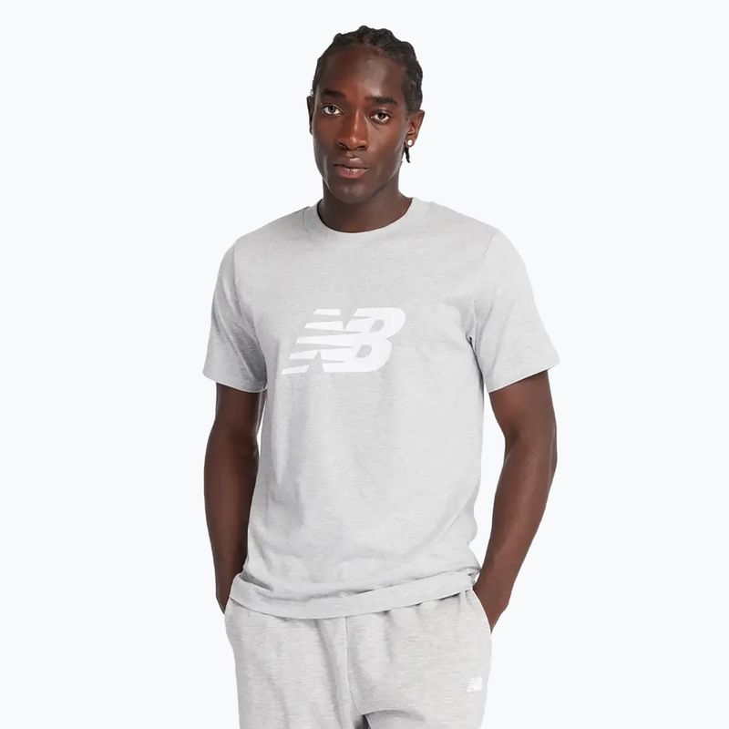 Men's New Balance Graphic V Flying athletic grey t-shirt