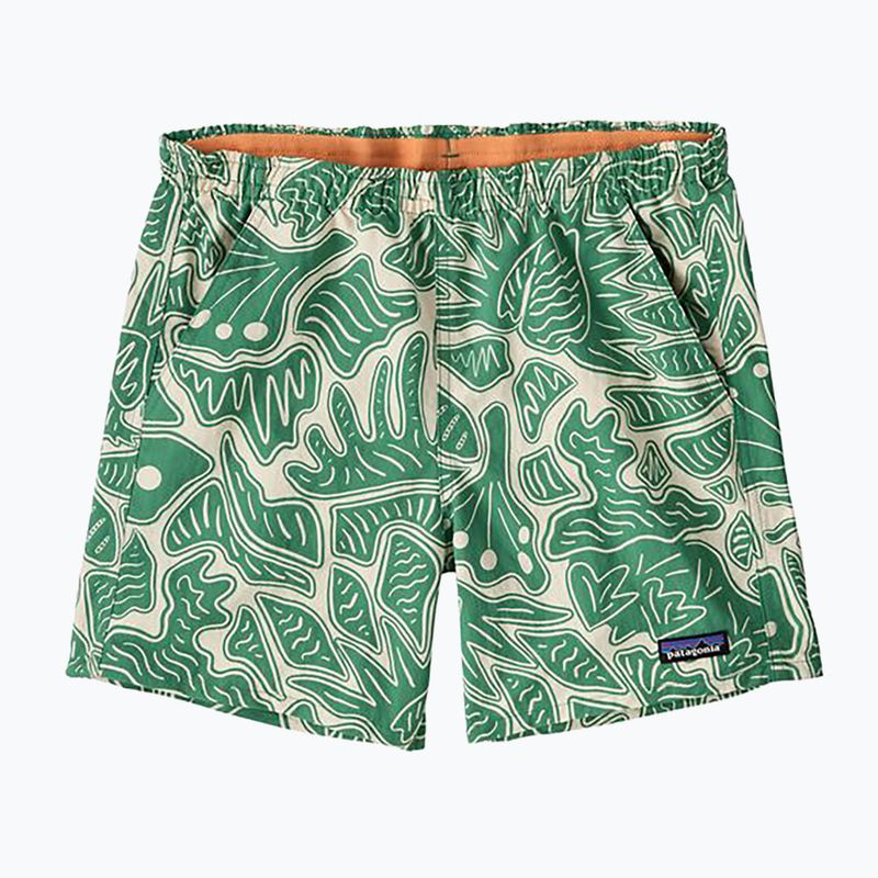 Patagonia Baggies women's shorts 5" bees and flowers/heartleaf green