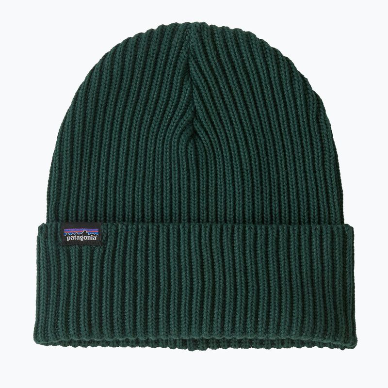 Patagonia Fishermans Rolled Beanie winter beanie cascade green