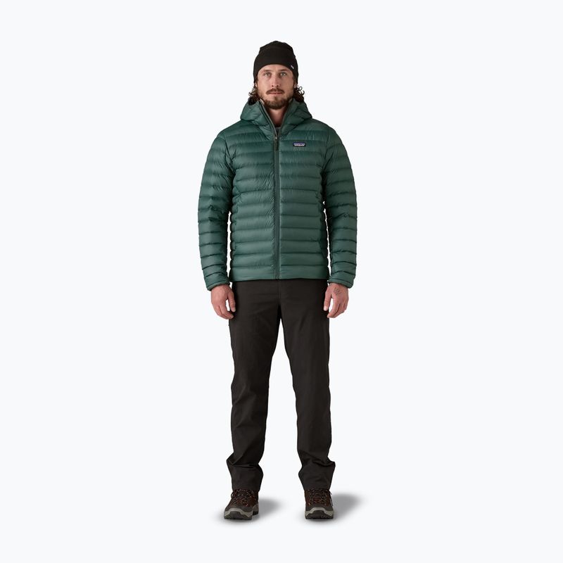 Men's down jacket Patagonia Down Sweater Hoody cascade green 2