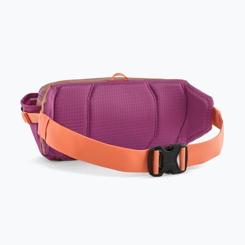Waist bag Patagonia Black Hole Waist Pack 5 l peach sherbet 2
