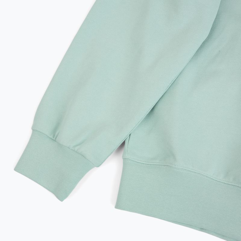 Women's sweatshirt Patagonia Daily Crew thin ice 4