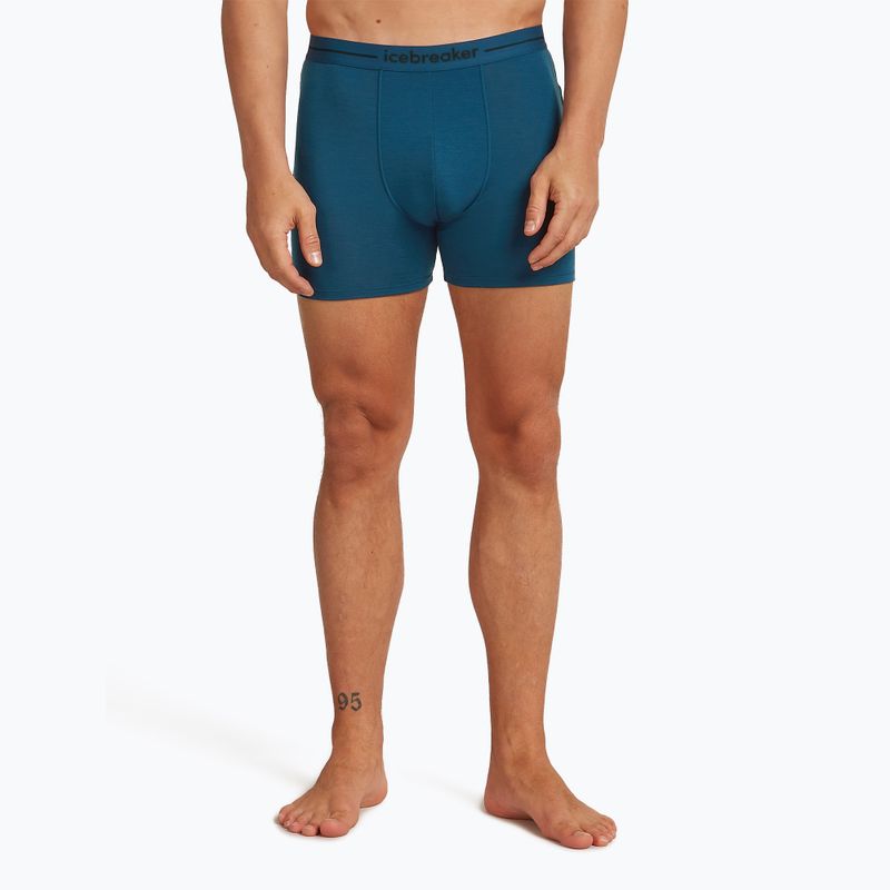 Men's thermal boxer shorts icebreaker Anatomica atlantis 2
